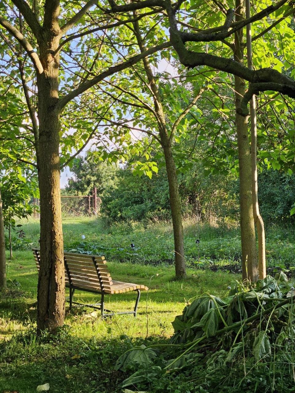 Gartenhaus Schlanstedt Huy エクステリア 写真