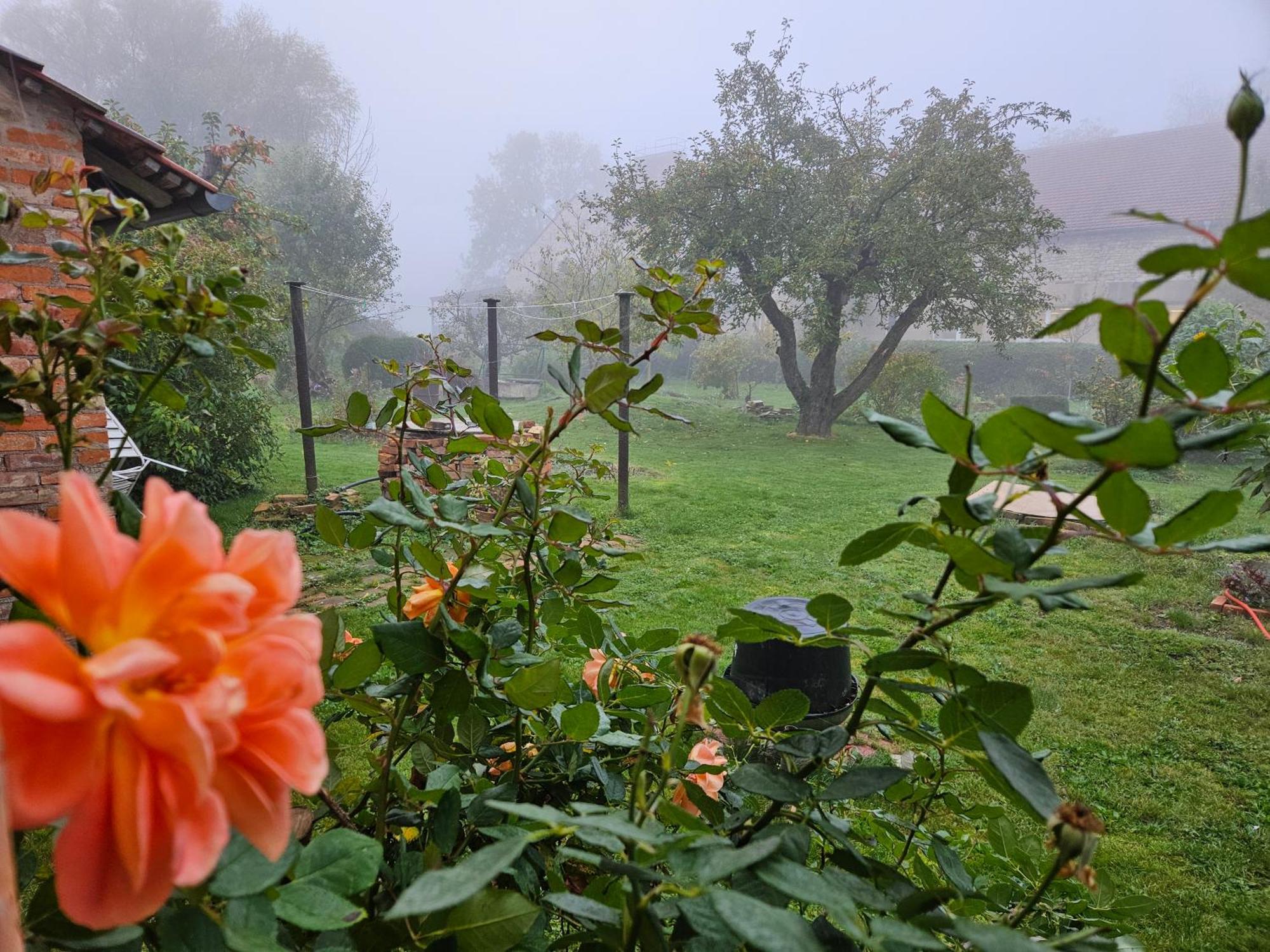 Gartenhaus Schlanstedt Huy エクステリア 写真